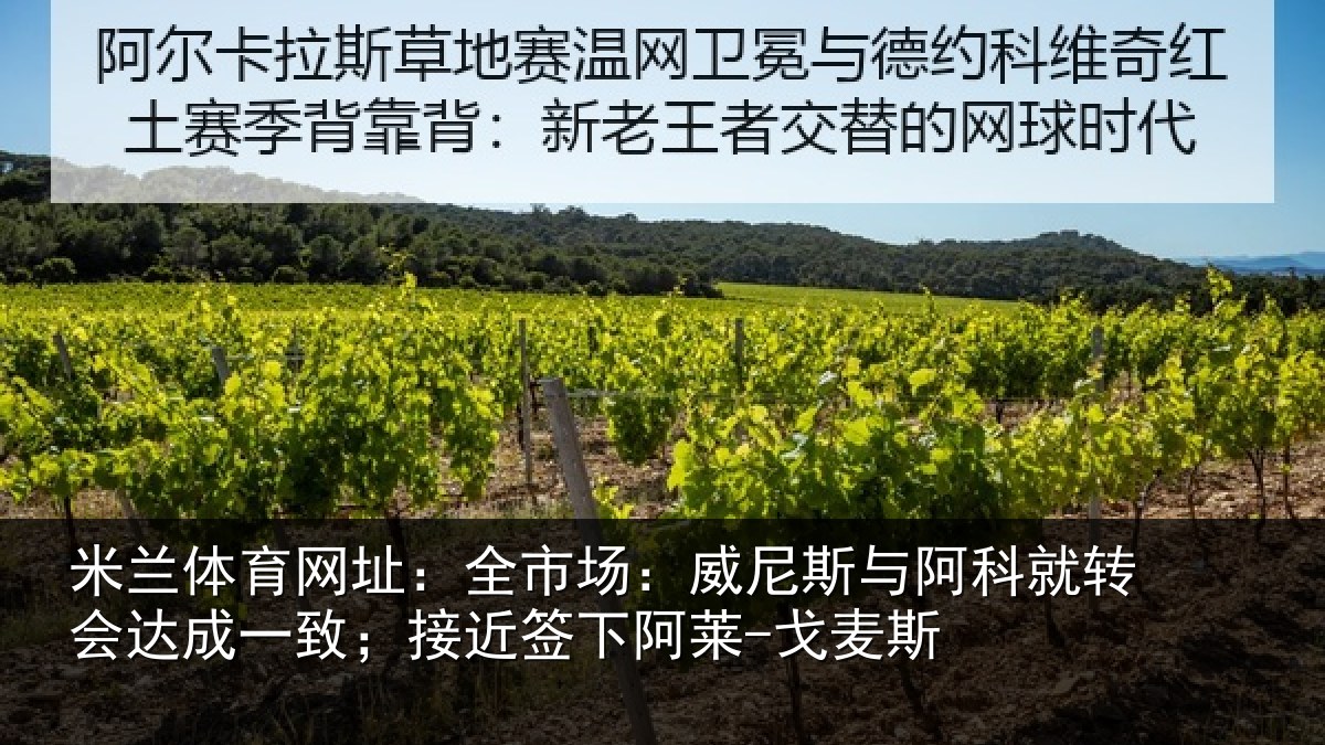 米兰体育网址：全市相关情况转会相关情况阿莱-戈麦斯